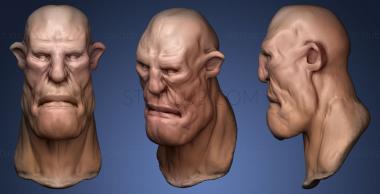 3D модель Гигантская голова (STL)